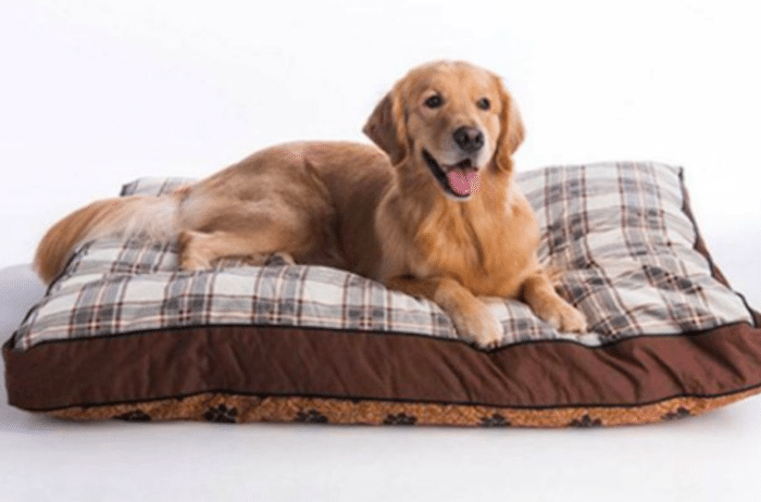 MyPillow dog bed