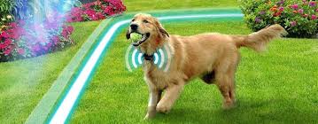 Innotek dog fence vs Transfer wireless dog fence reviews 2020