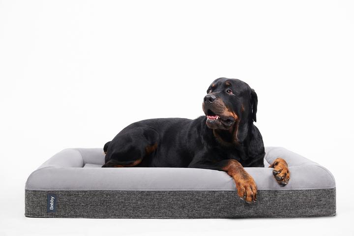 Does My Dog Need an Orthopedic Bed? A Brief for Your Understanding