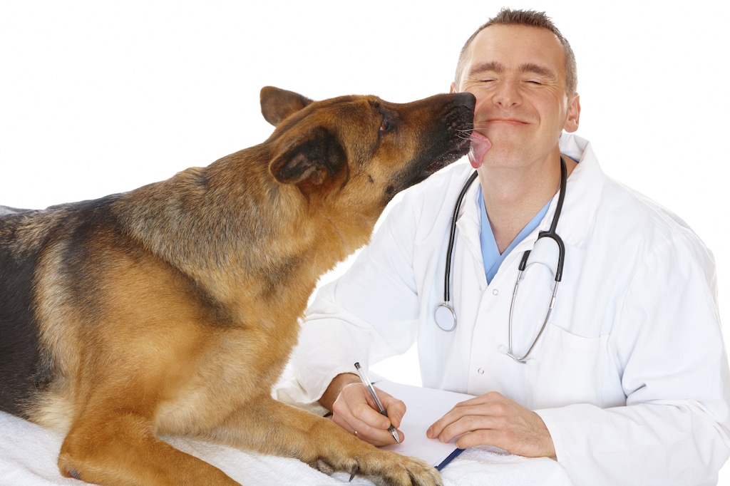 Pet Guide That Makes It Simple to Start a Veterinary Practice