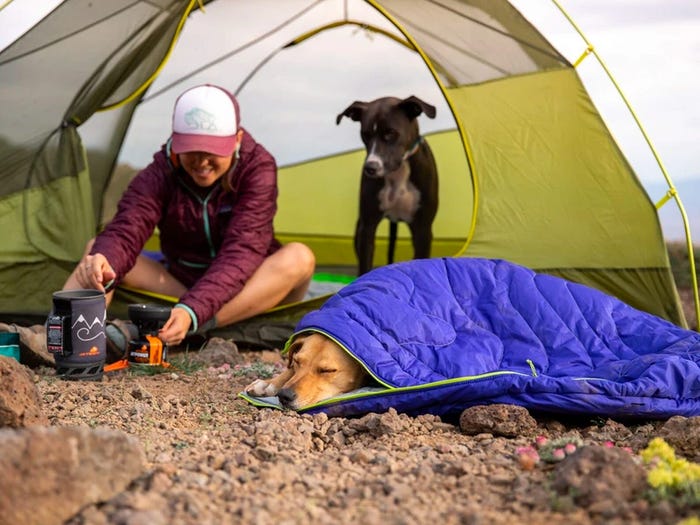 Top Tips to Make Successful Camping with Your Dogs