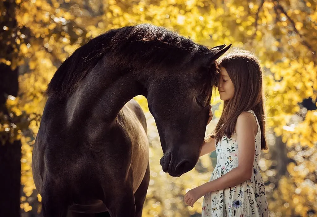 7 Fun Facts About Horses You Probably Didn’t Know