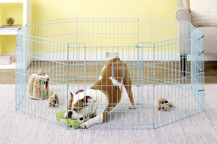 How the Best Dog Playpens Help Keep Your Pup Safe
